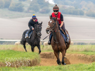 AK021025-47 - Believitanducan